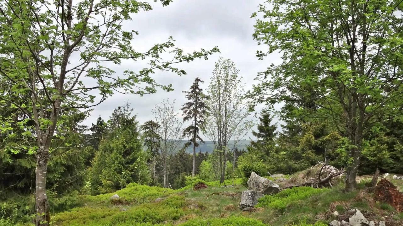 FeWo Algenrodt Idar-Oberstein Buitenkant foto